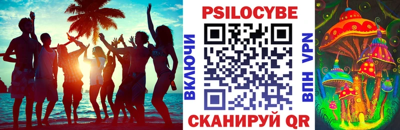Псилоцибиновые грибы прущие грибы  блэк спрут вход  Нерюнгри 