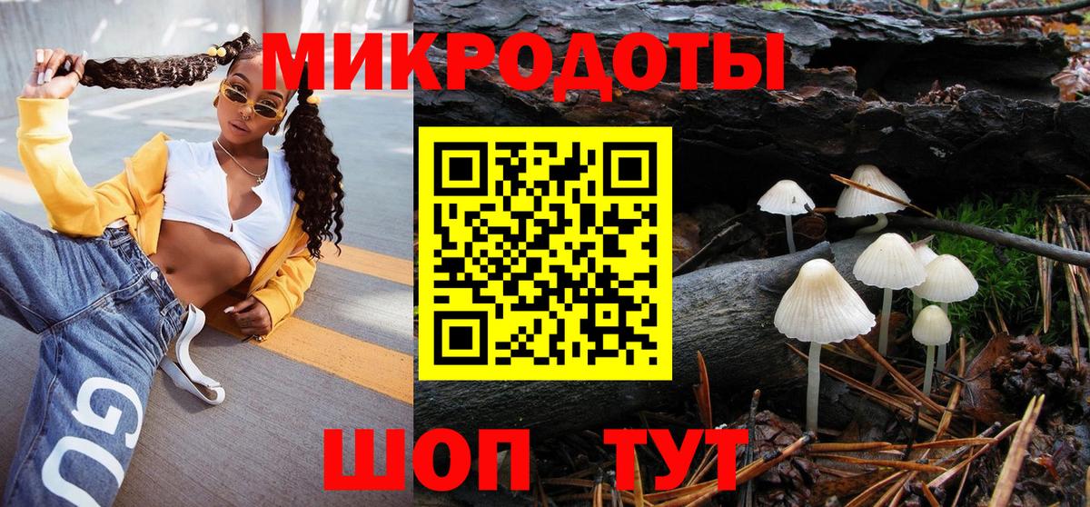 где найти   Галлюциногенные грибы Magic Shrooms  Вход с VPN  Галлюциногенные грибы MAGIC MUSHROOMS  Нерюнгри 