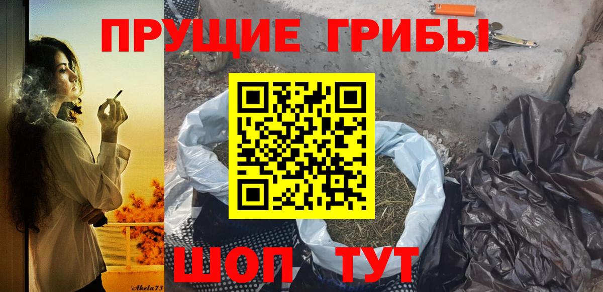 Нерюнгри  Галлюциногенные грибы GOLDEN TEACHER  Галлюциногенные грибы MAGIC MUSHROOMS  Вход с VPN 