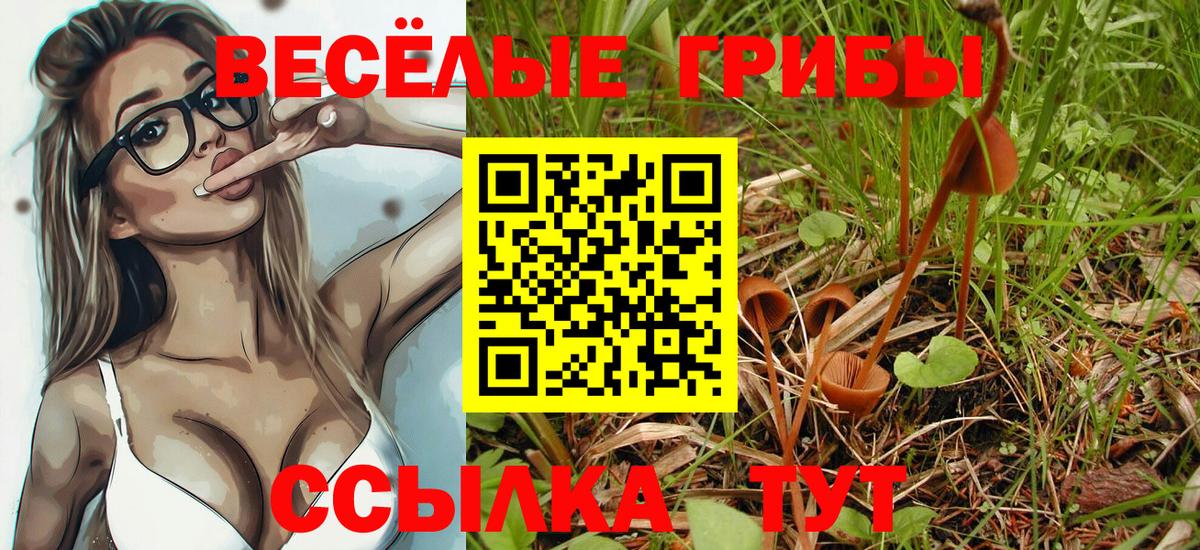 Псилоцибиновые грибы Psilocybine cubensis Нерюнгри
